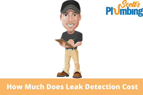 How Much Does Leak Detection Cost